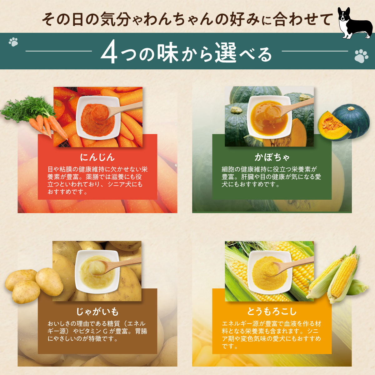 【ペットプロ(Pet Pro)】HappyDays 大地からの贈り物 素材100% 野菜フレーク かぼちゃ 35g×2