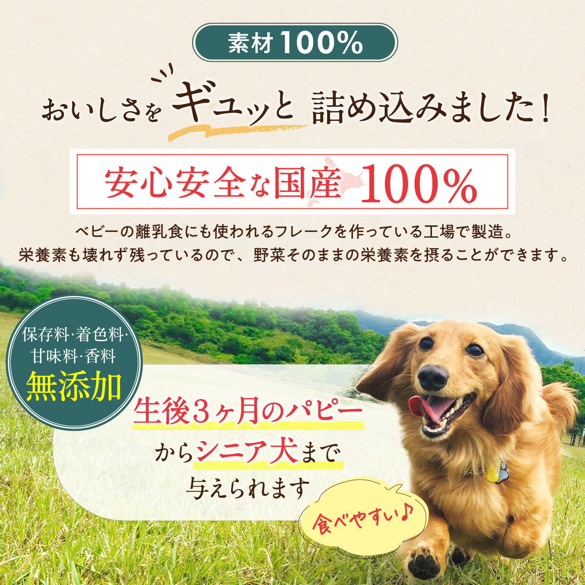 【ペットプロ(Pet Pro)】HappyDays 大地からの贈り物 素材100% 野菜フレーク かぼちゃ 35g×2