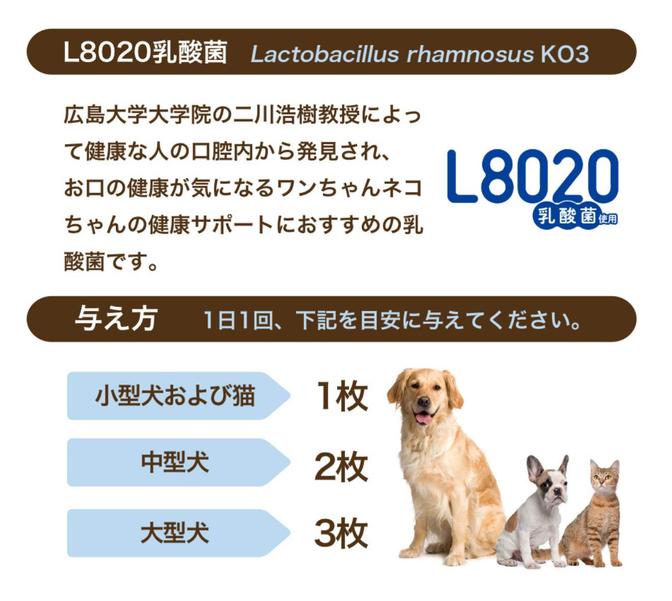 Fil Plus®+L8020(フィルプラス)